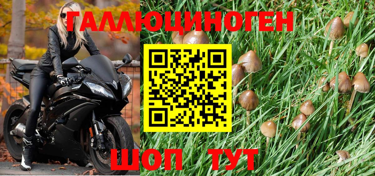 Галлюциногенные грибы ЛСД  Барабинск 