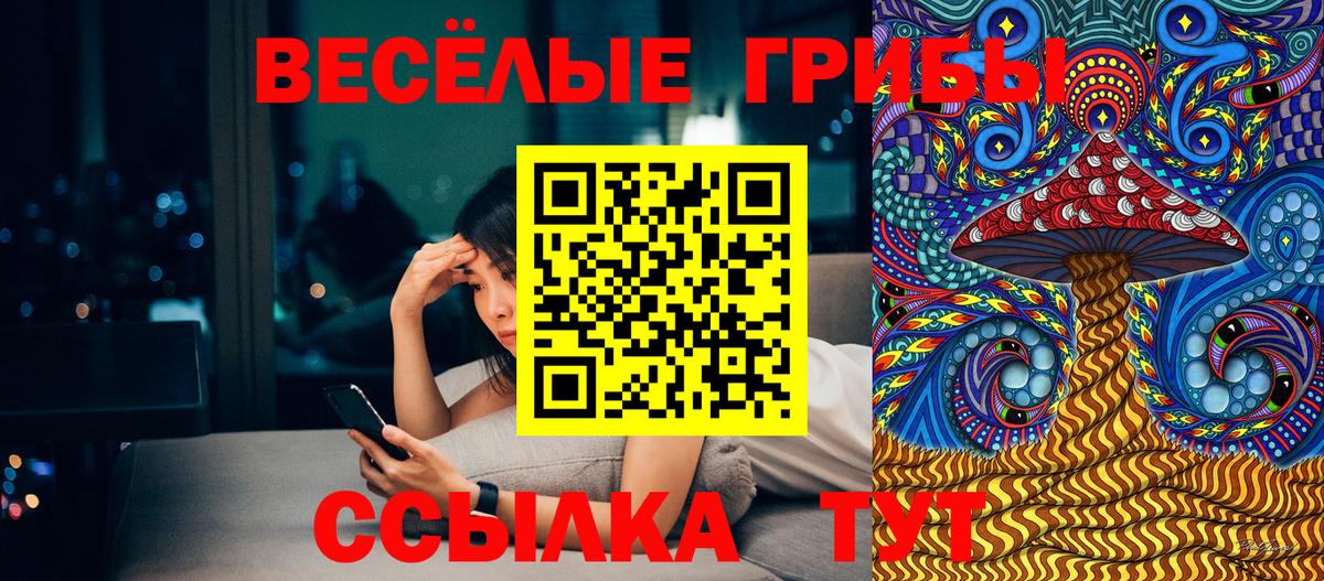 Барабинск  Галлюциногенные грибы Magic Shrooms  цены   Галлюциногенные грибы мухоморы  Вход с VPN 